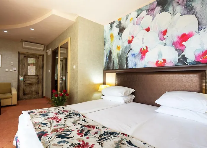 Balneo Complex & Aquatonik Hotell 4*