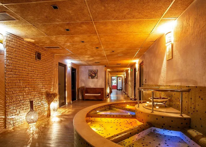 호텔 Balneo Complex & Aquatonik 4*